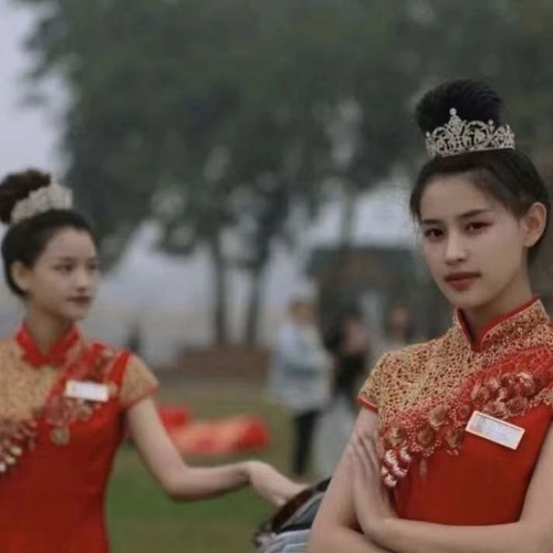 网约车车队纯电车型采购项目